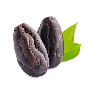 Cocoa beans with leaves Stock Photos
