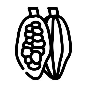 Cocoa beans line icon vector illustration Stock Illustration