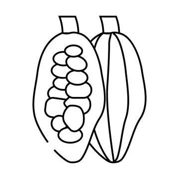 Cocoa beans line icon vector illustration Stock Illustration