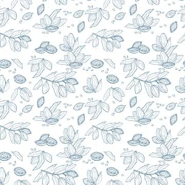 Cocoa beans patterned sketches for creative design projects Stock Illustration