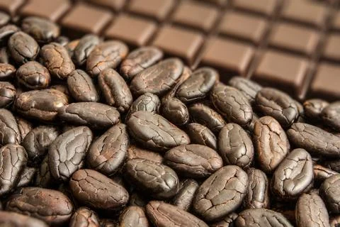 Cocoa beans Foto stock