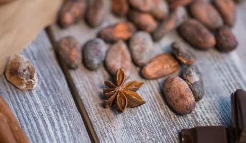 Cocoa beans Stock Photos