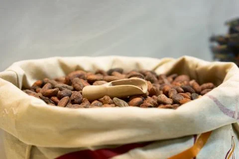Cocoa beans Stock Photos