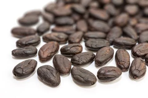 Cocoa beans Stock Photos