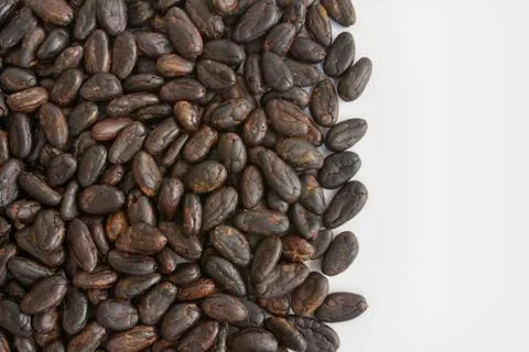 Cocoa beans Stock Photos