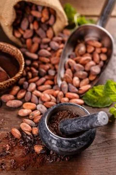 Cocoa beans Stock Photos