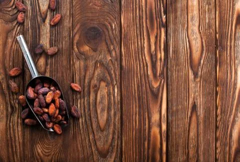 Cocoa beans Stock Photos