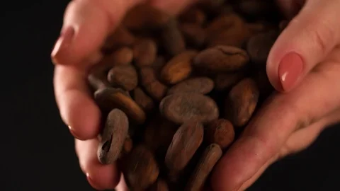 Cocoa beans pouring from hands close up macro shot Slow Motion video Stock Footage 102618164