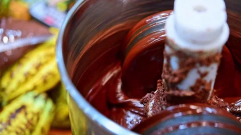 Cocoa beans in roaster cocoa beans machine Stock Footage 307887866