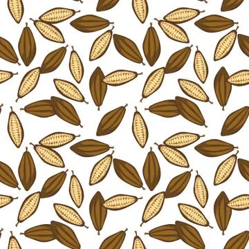 Cocoa beans seamless pattern. Chocolate background Illustrazione stock