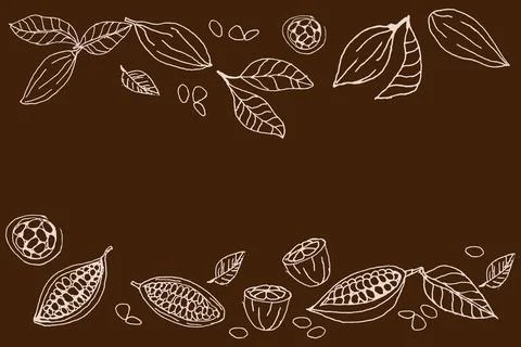 Cocoa beans sketch background on dark color Stock Illustration