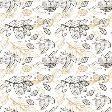 Cocoa beans sketch seamless pattern for textile and culinary design Illustrazione stock