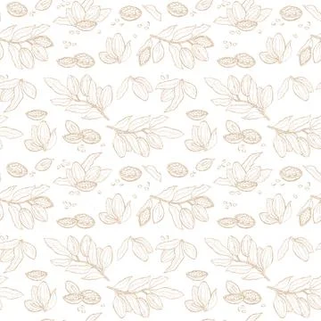 Cocoa beans sketch set pattern for botanical design and art projects Illustrazione stock