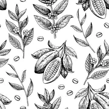 Cocoa beans, tea and coffee branches. Seamless pattern in engraving vintage 스톡 일러스트