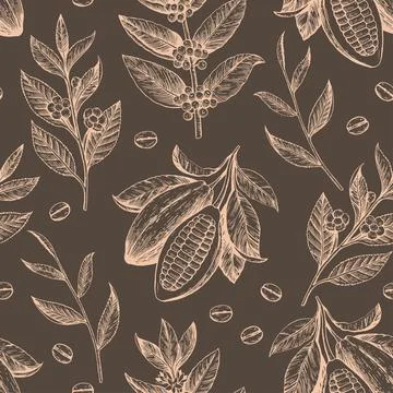 Cocoa beans, tea and coffee branches. Seamless pattern in engraving vintage Illustrazione stock