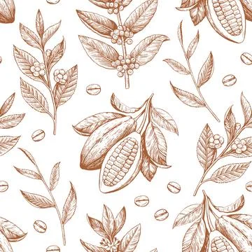 Cocoa beans, tea and coffee branches. Seamless pattern in engraving vintage Stock Illustration