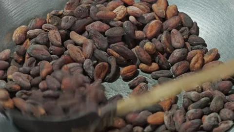 Cocoa beans toasted on metal pan Stock Footage 337638449