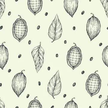 Cocoa beans vector seamless pattern. Engraved vintage style illustration Stock Illustration