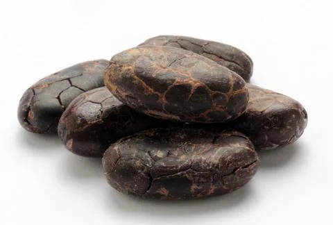 Cocoa beans on the white background Stock Photos