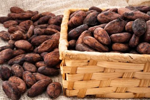 Cocoa beans in a wicker box Stock Photos