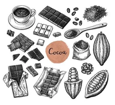 Cocoa big set. Stock Illustration