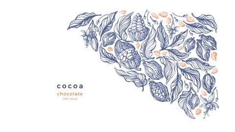 Cocoa border. Vector engraving. Organic chocolate Stock Illustration