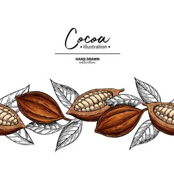 Cocoa border. Vector superfood drawing template. Fruit, leaf and bean seamless Stock Illustration