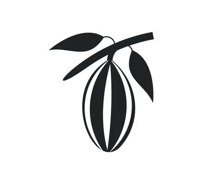 Cocoa branch logo design. Various of Fresh cocoa fruits. Stock Illustration