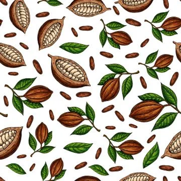 Cocoa branch vector seamless pattern. Superfood drawing. Organic Stock Illustration