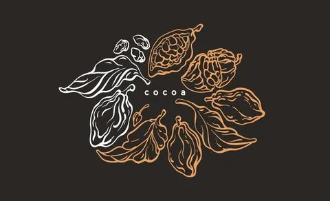 Cocoa circle symbol. Vector graphic tree, branch, leaf, bean, fruit. Vintage  Stock Illustration