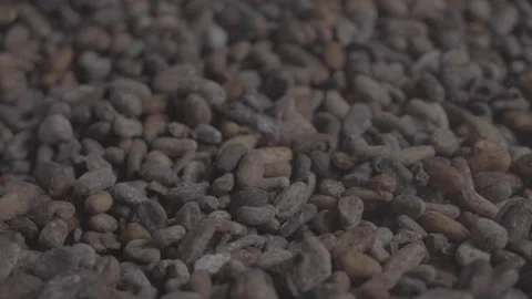 Cocoa close up - raw cocoa Stock Footage 312610705