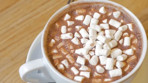 Cocoa cup with marshmallows Stock Footage 101034759