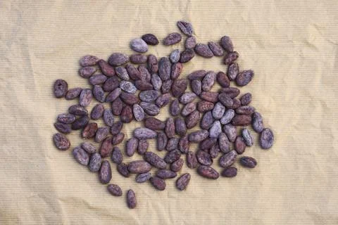 Cocoa flat lay  concept with raw cocoa beans  on craft paper  background, Foto stock