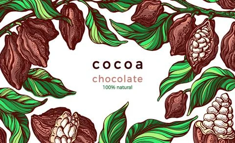 Cocoa frame. Natural chocolate. Vector hand drawn botanical branch, bean, tro Illustrazione stock