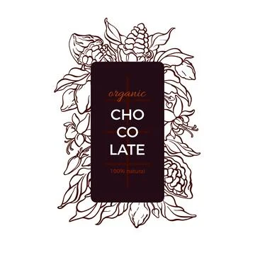 Cocoa frame. Natural chocolate. Vector hand drawn botanical tree, bean, tropi Stock-Illustration