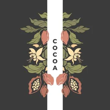 Cocoa frame. Vector floral pattern. Chocolate tree, tropical branch, sweet bo Stock Illustration