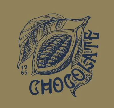 Cocoa fruit. Beans or Grains. Vintage badge or logo for t-shirts, typography Stock Illustration
