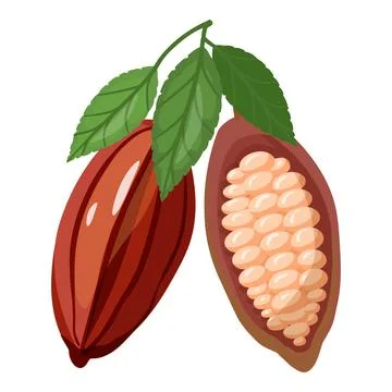 Cocoa fruit icon cartoon vector. Cacao bean Stock Illustration