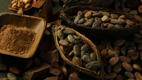 Cocoa fruit spin on a black table Stock Footage 121114527