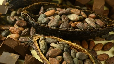 Cocoa fruit spin on a black table Stock Footage 121115568