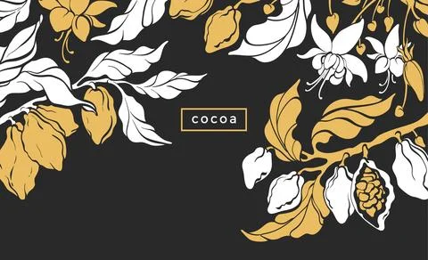 Cocoa fruit. Vector template. Botanical shape of tree, tropical leaves, bean. Stock Illustration