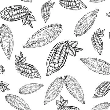 Cocoa hand drawn seamless pattern Stock Illustration