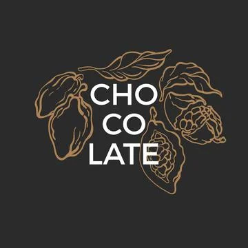 Cocoa label. Natural chocolate. Vector art card. Hand drawn bean, fruit, leaf Stock Illustration
