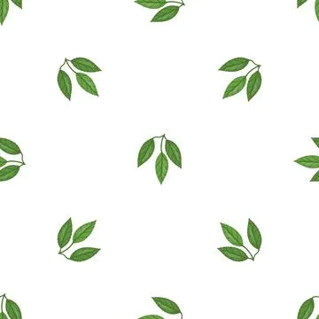 Cocoa leaf tree pattern seamless vector 스톡 일러스트