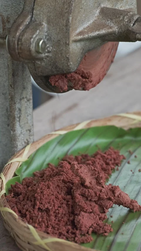 Cocoa maker grinding cocoa beans in hand mill Stock Footage 320415829