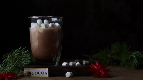 Cocoa with marshmallow Stockbeeldmateriaal 220908087