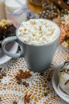 Cocoa with marshmallow Stock Photos