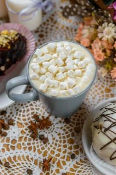 Cocoa with marshmallow Stock Photos