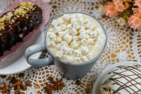 Cocoa with marshmallow Stock Photos