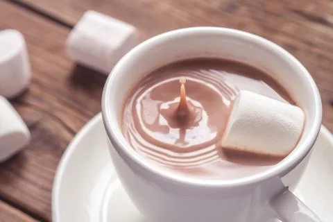 Cocoa with marshmallow Stock Photos